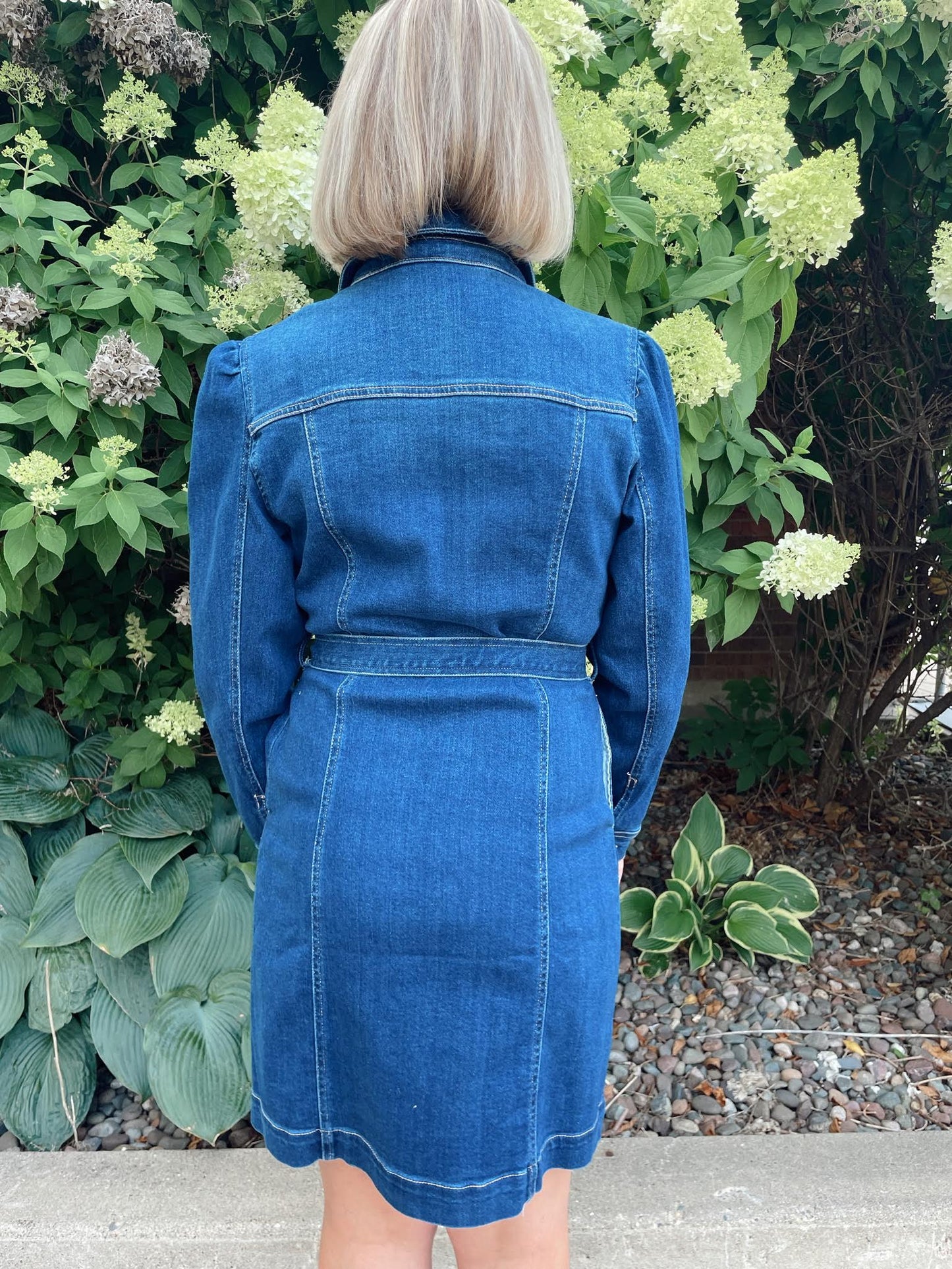 Wallen Denim Dress
