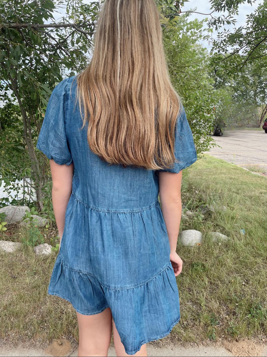 Birkley Denim dress