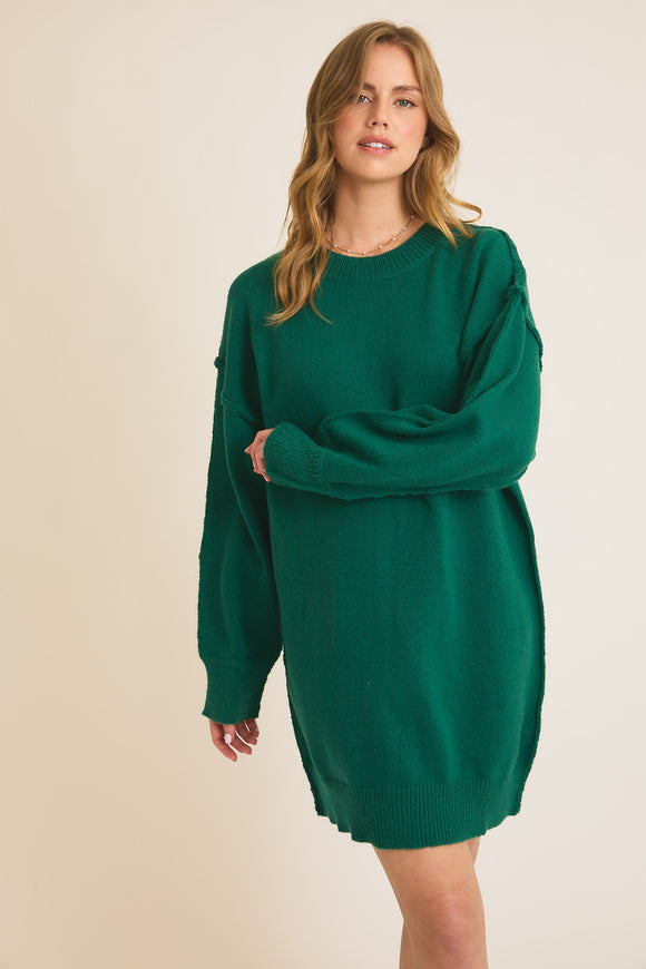 Zena Tunic Sweater