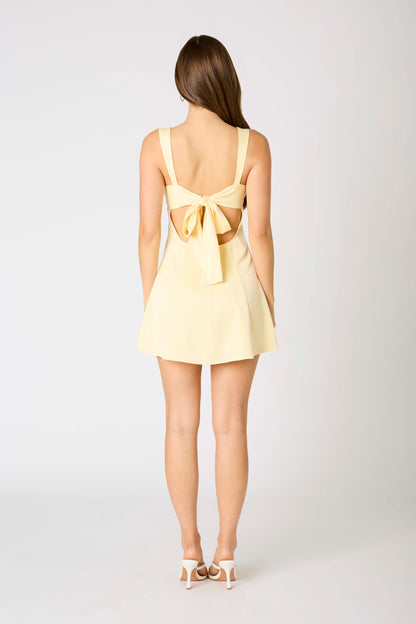 Manhattan Mini Dress