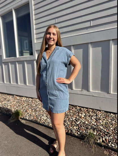 Napa Denim Mini Dress