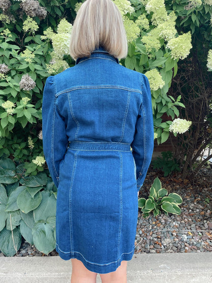 Wallen Denim Dress