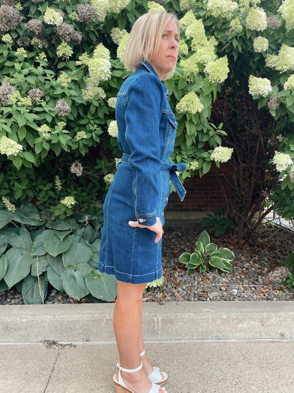 Wallen Denim Dress