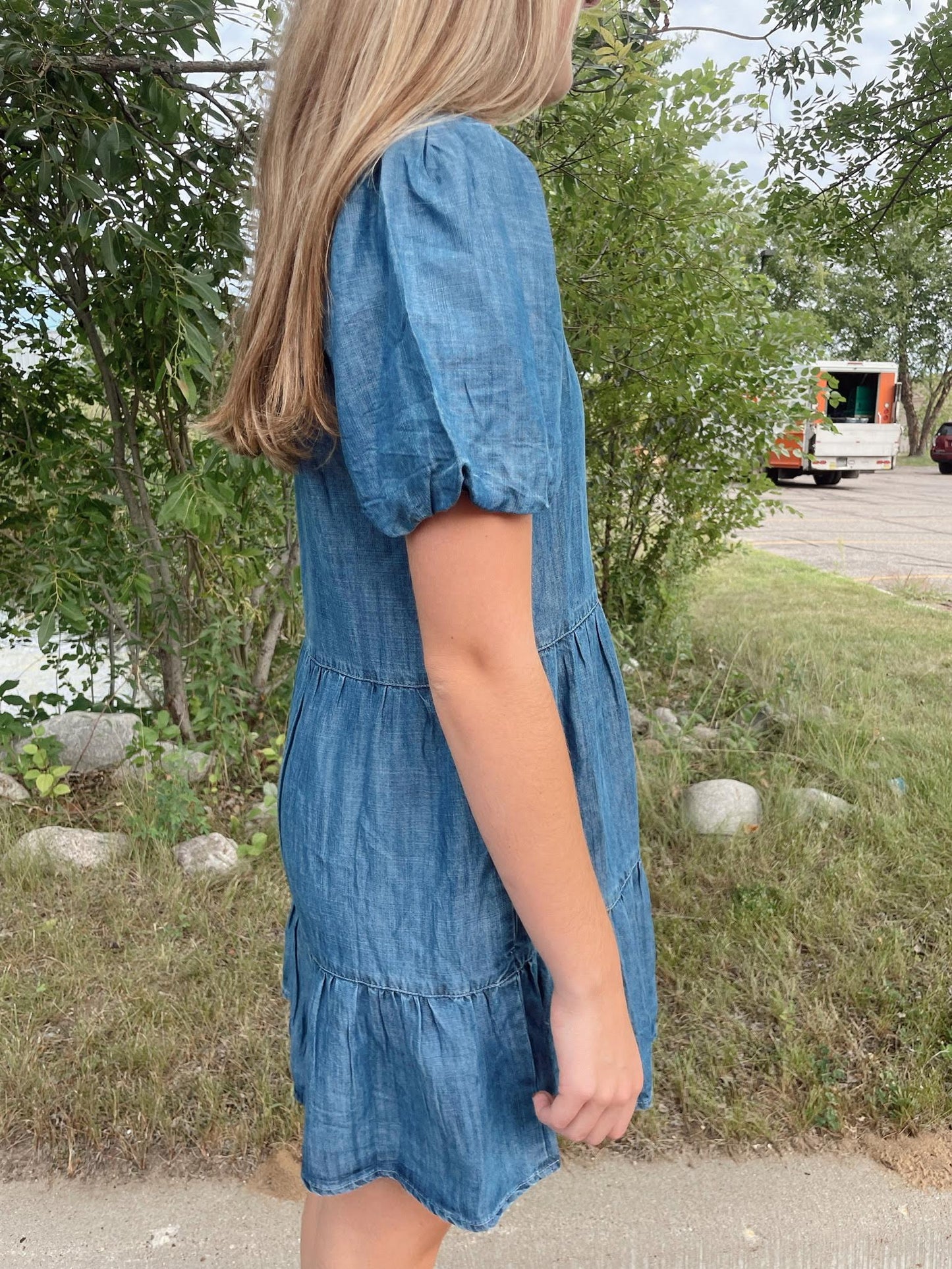 Birkley Denim dress