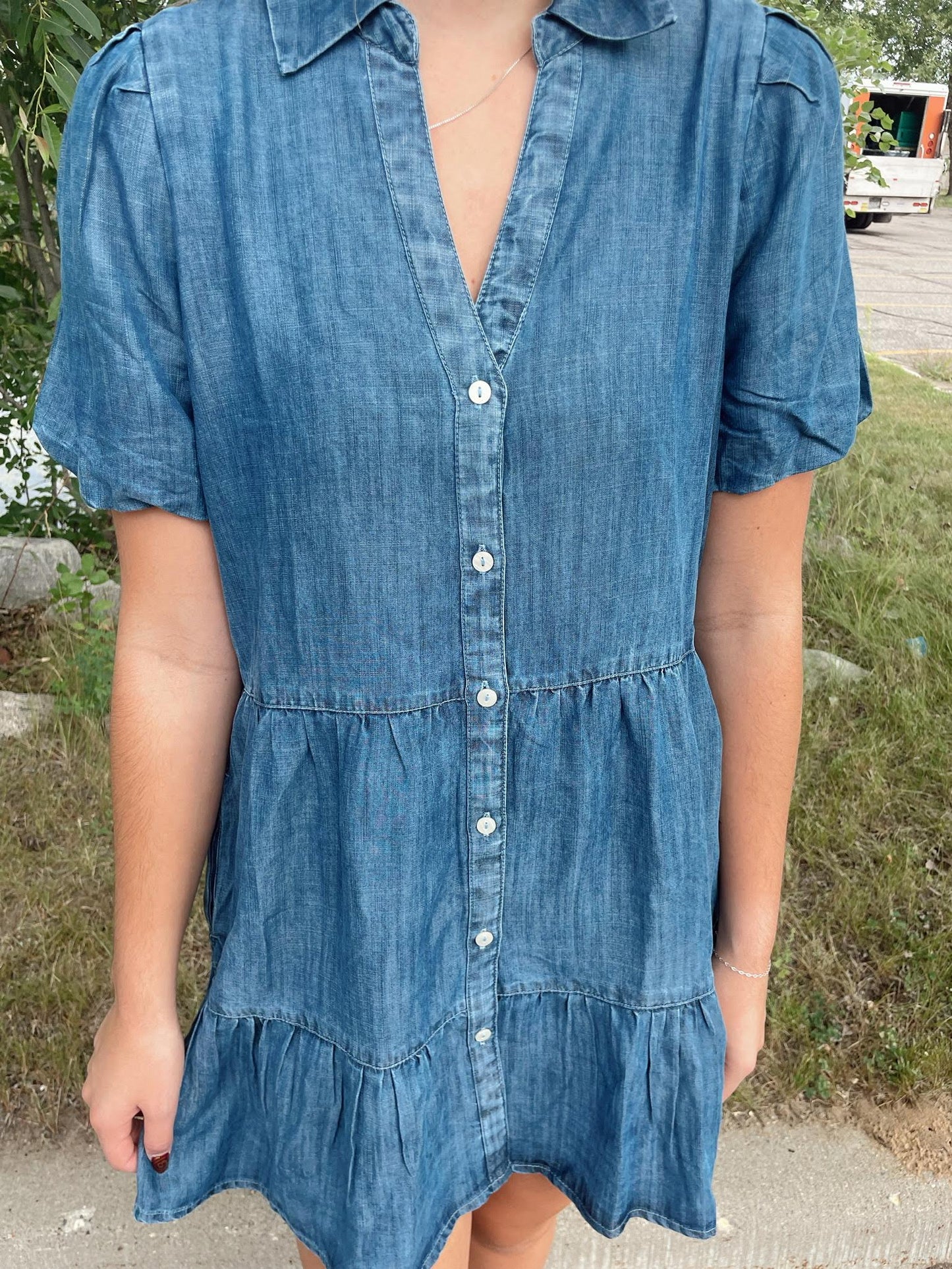 Birkley Denim dress