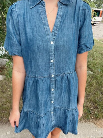 Birkley Denim dress