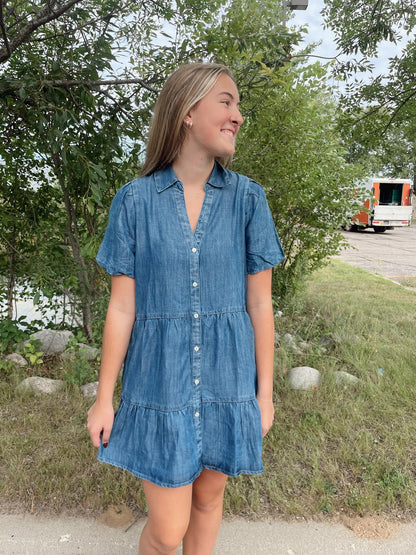 Birkley Denim dress