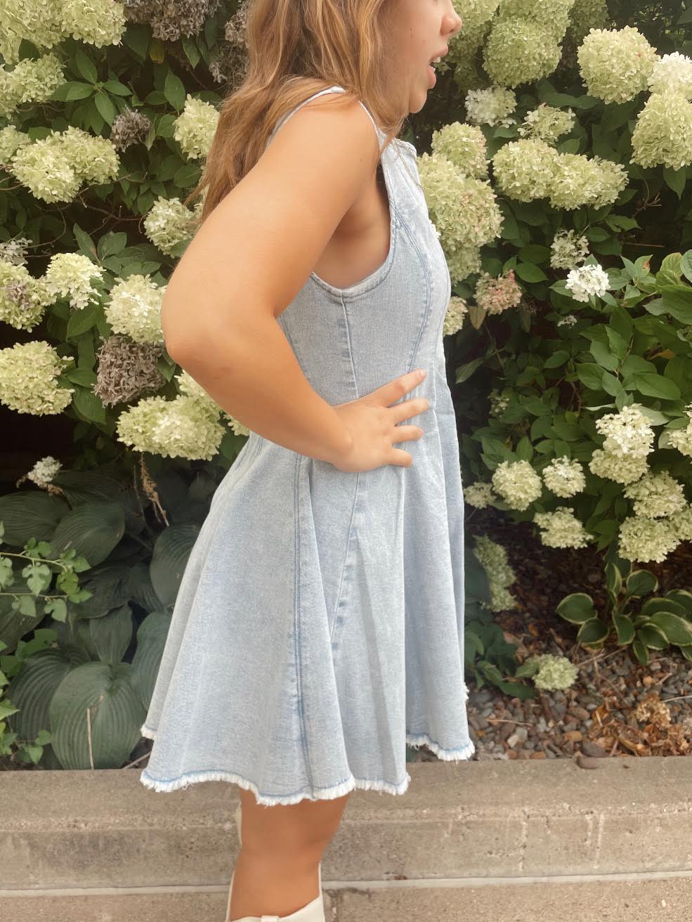 Lulu Denim Dress