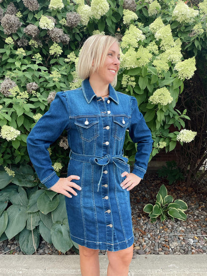 Wallen Denim Dress