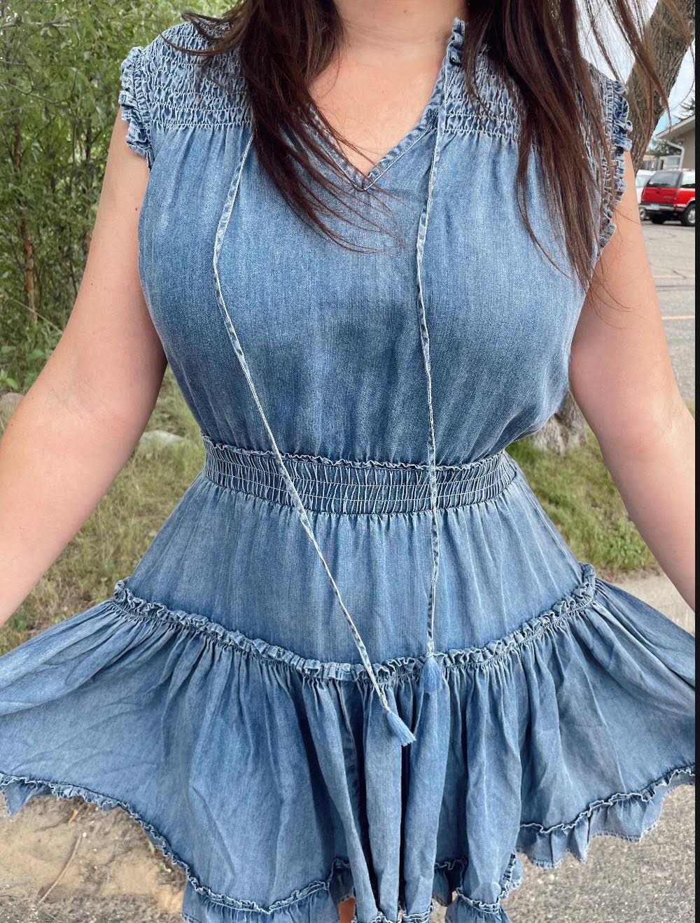 Melodie Denim Dress