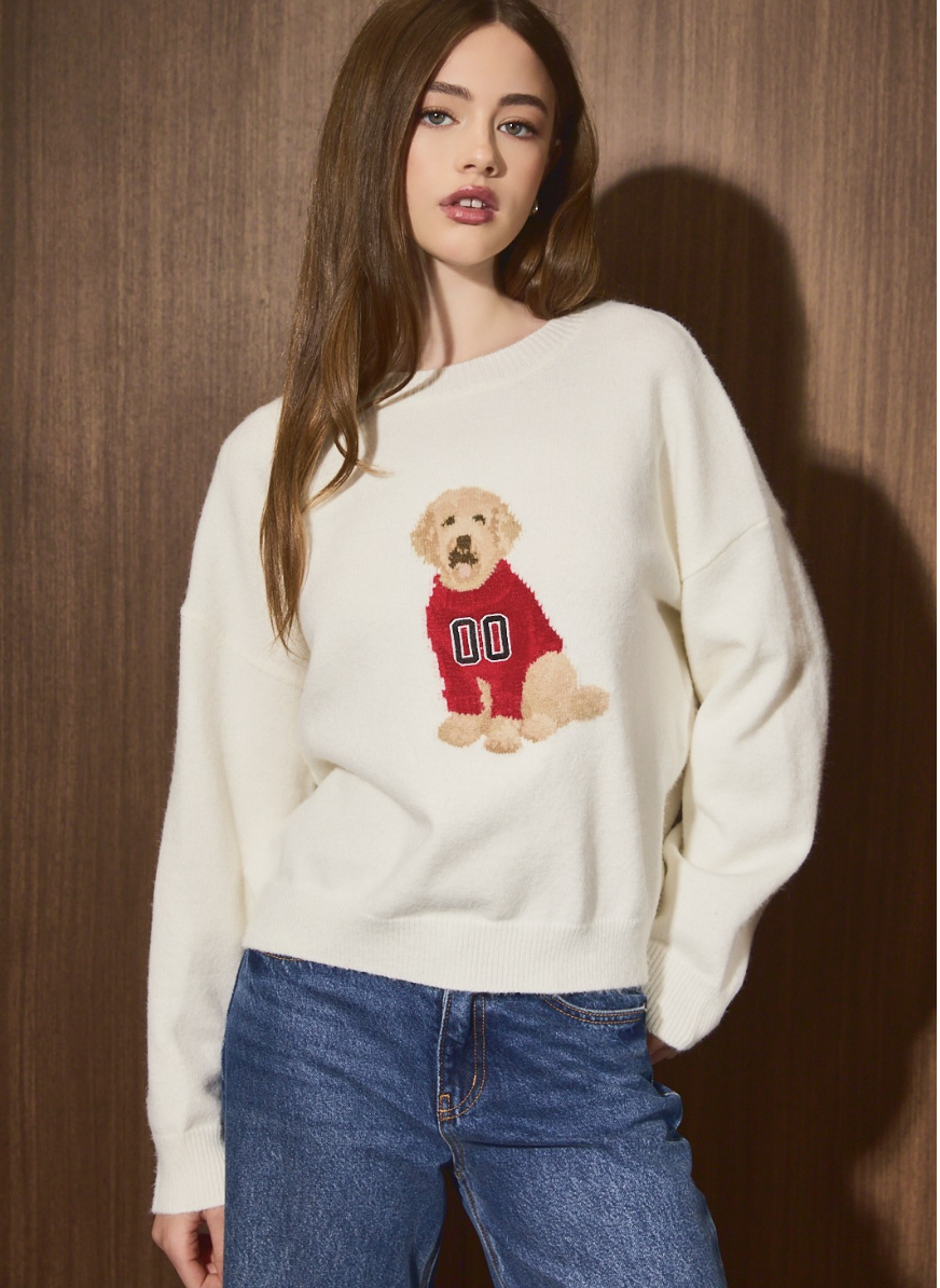 Gameday Pup Sweater