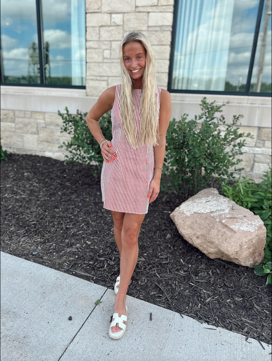 Zander Striped Mini Dress