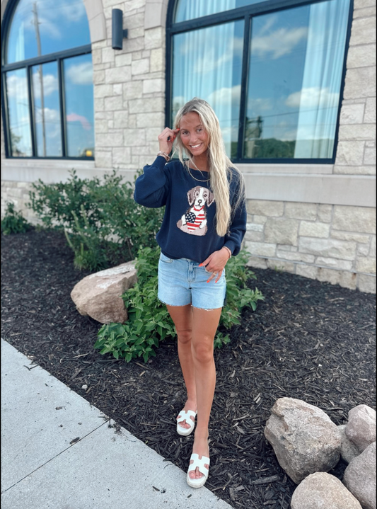 Patriotic Paws Sweater