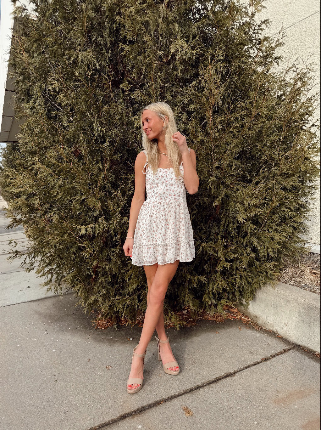 Dassy Mini Dress