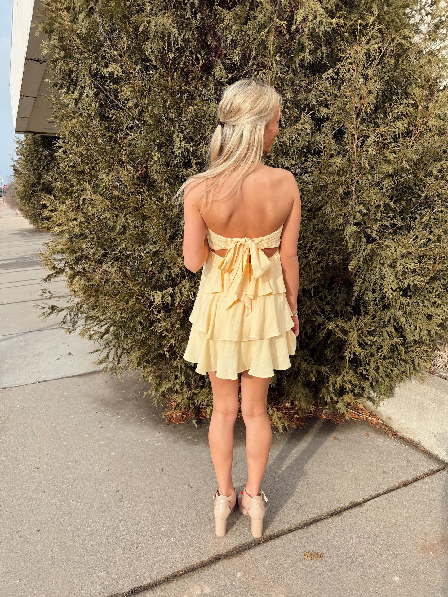 Wendy Mini Dress