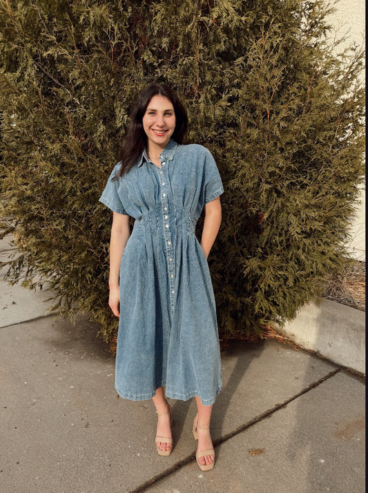 Oliver Denim Dress