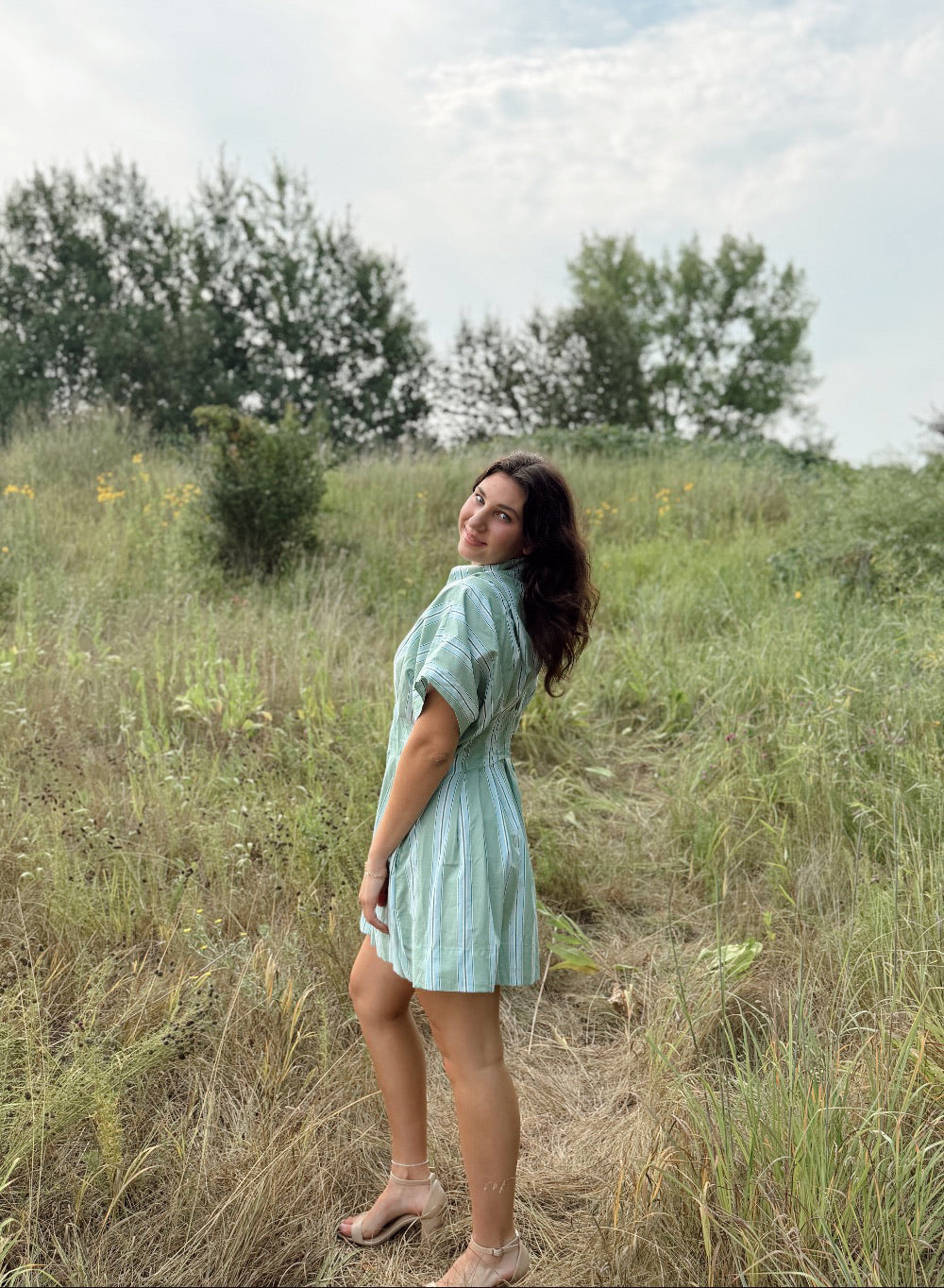 Lorine Stripe Mini Dress