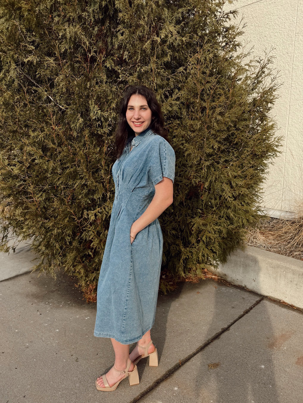 Oliver Denim Dress