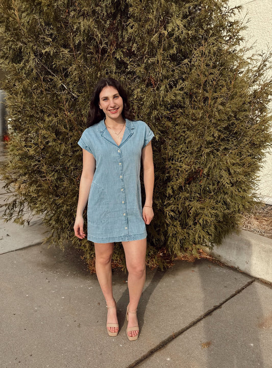 Napa Denim Mini Dress