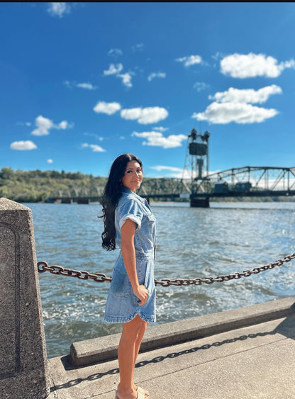 Topanga Denim Dress