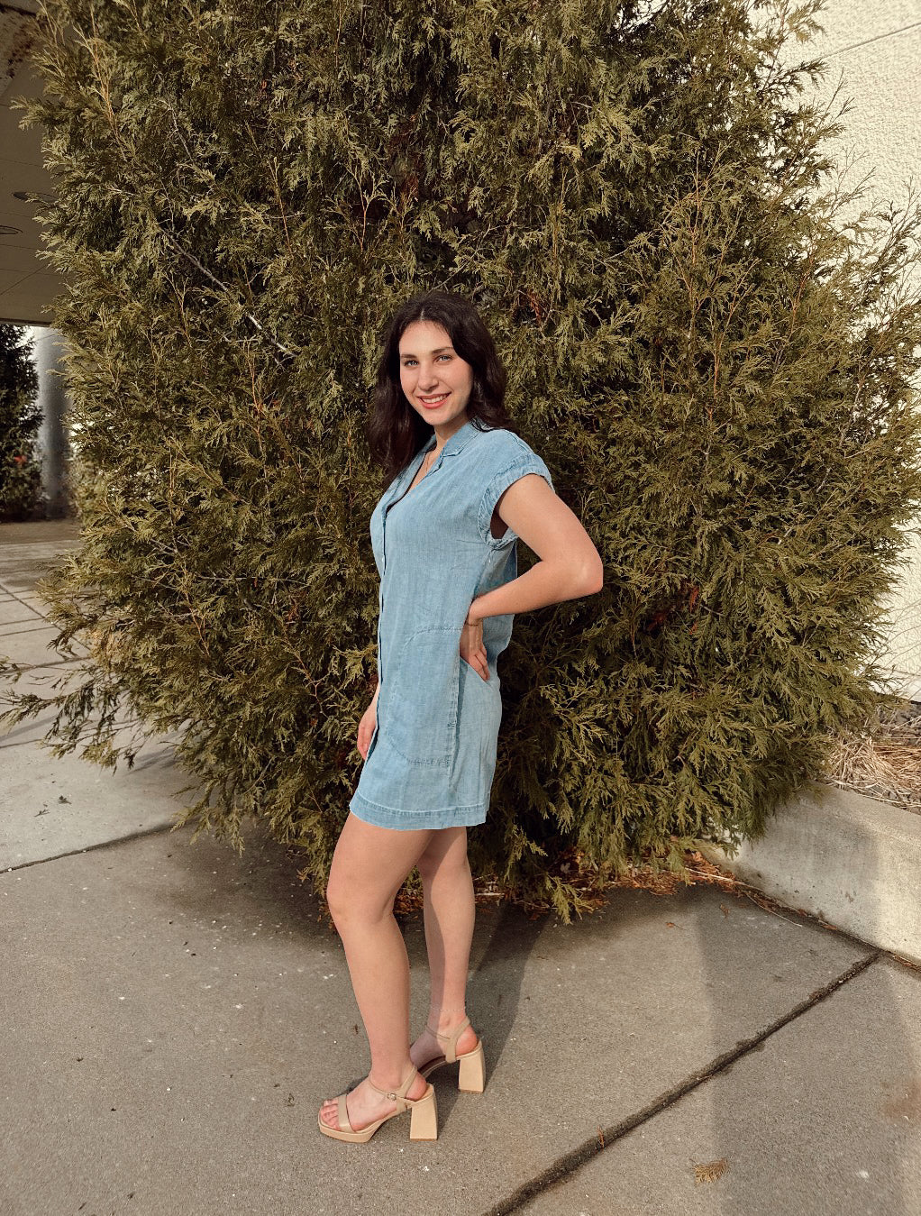 Napa Denim Mini Dress