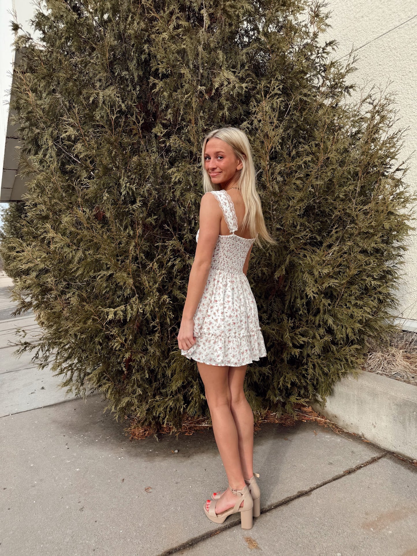 Dassy Mini Dress