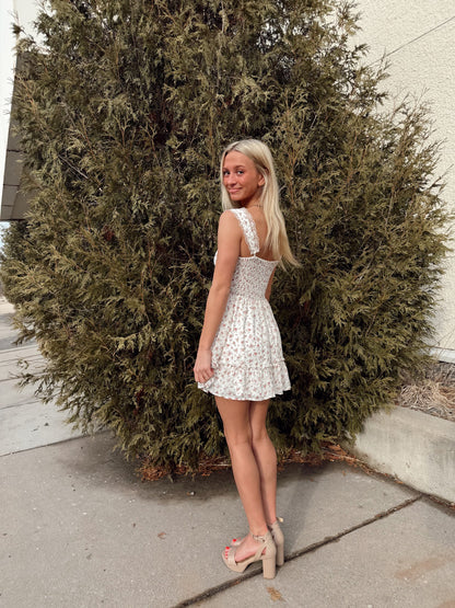 Dassy Mini Dress