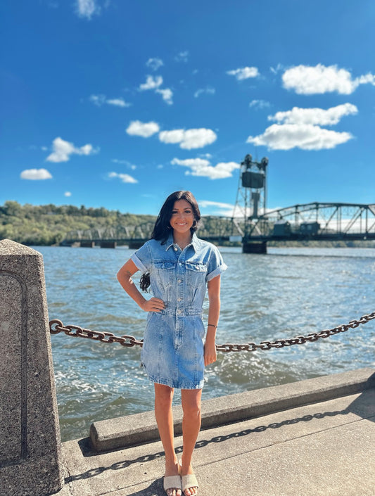 Topanga Denim Dress