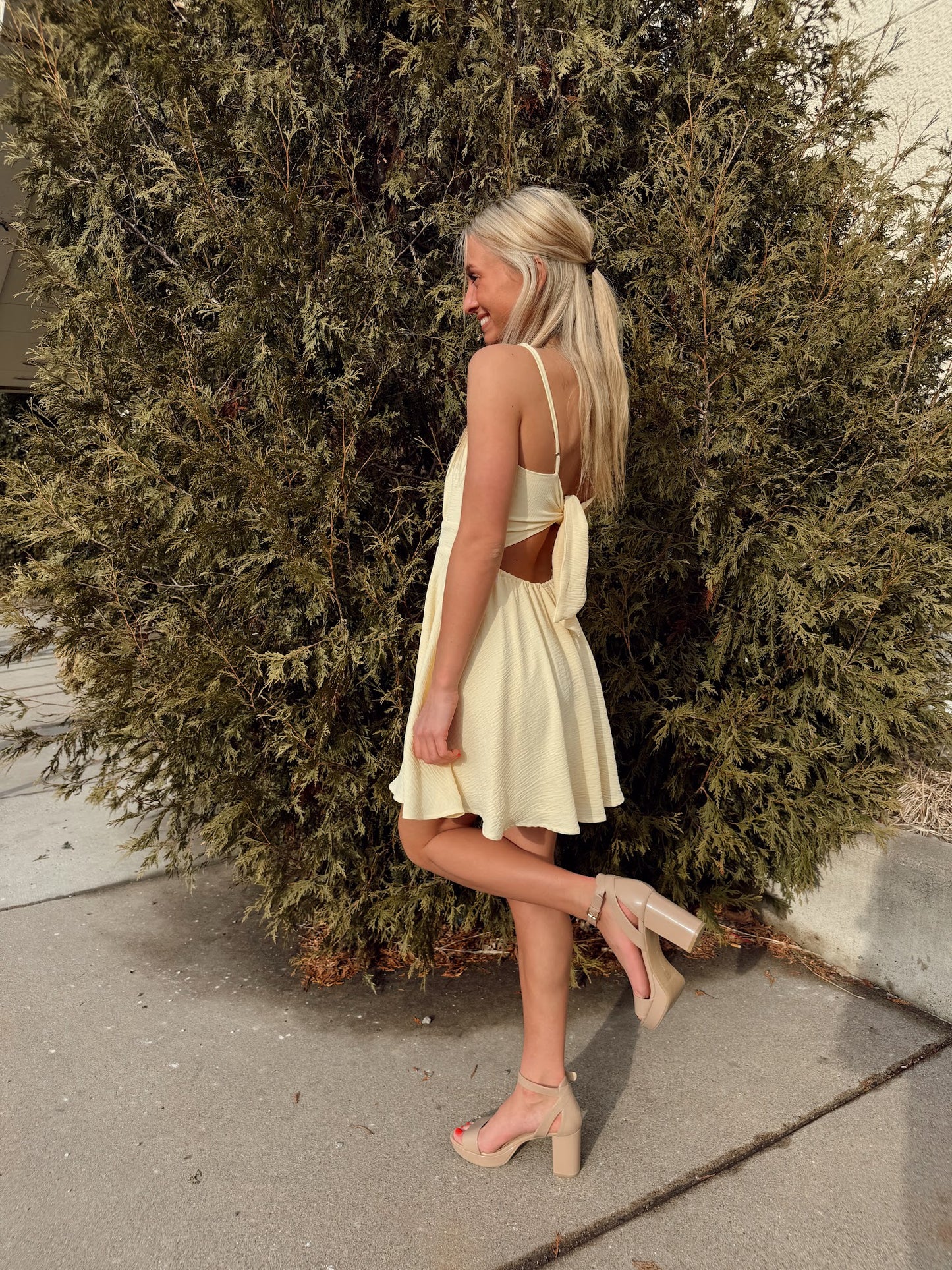 Daniella Mini Dress