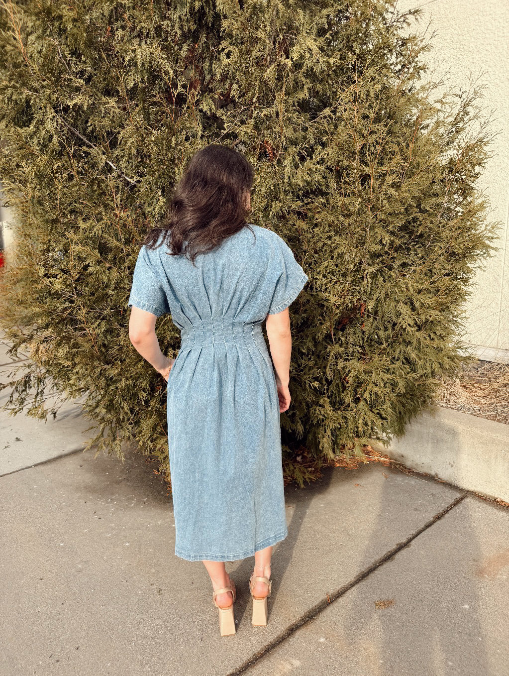 Oliver Denim Dress