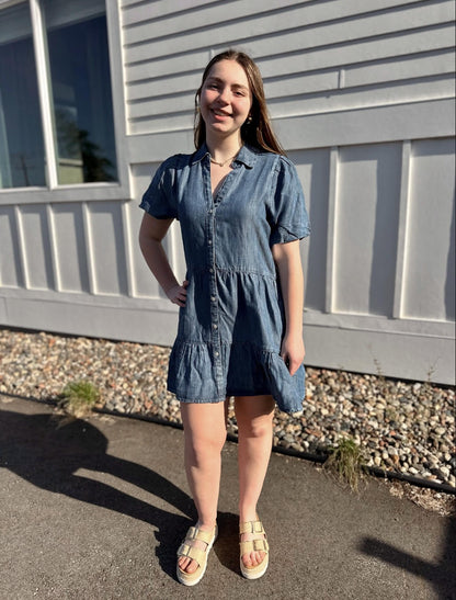 Birkley Denim dress